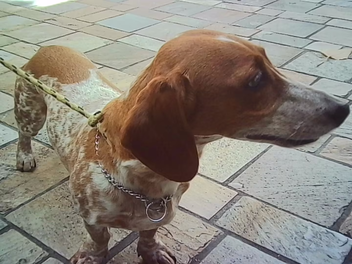 Roscoe